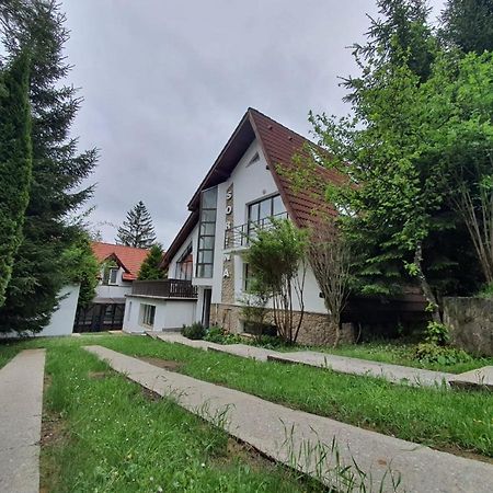 Vila Sorina Poiana Brasov Buitenkant foto