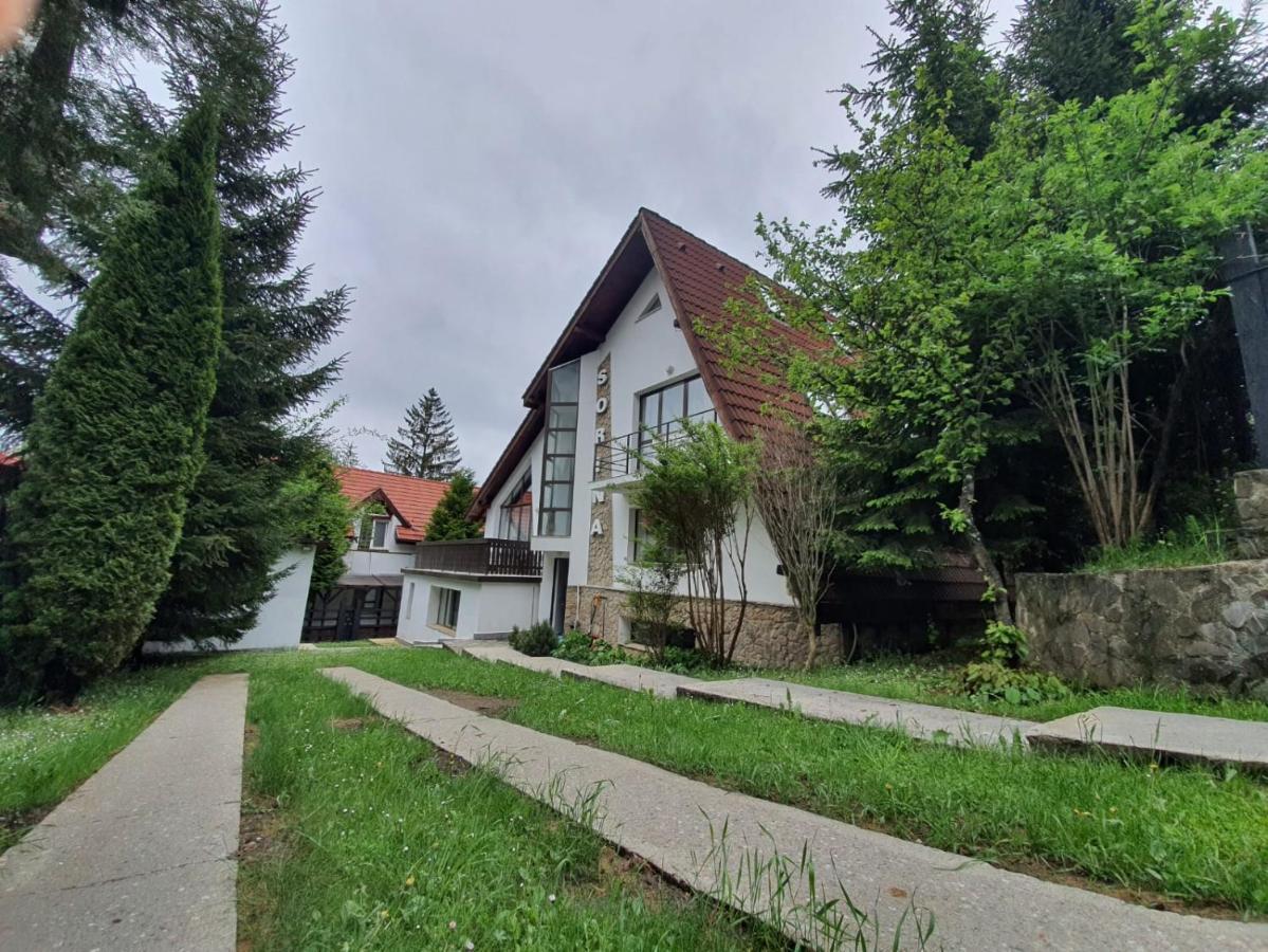 Vila Sorina Poiana Brasov Buitenkant foto