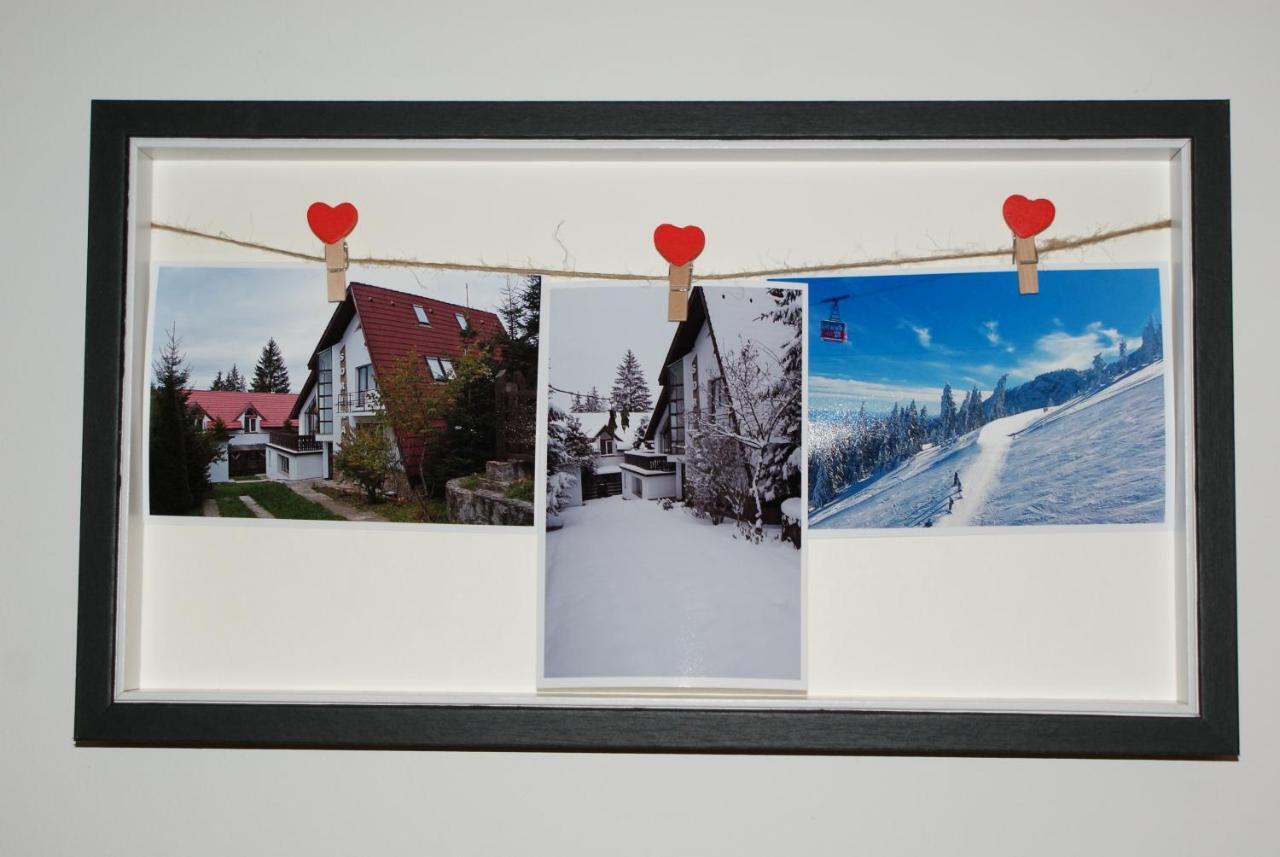 Vila Sorina Poiana Brasov Buitenkant foto